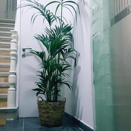 Cozy Rooms With Share The Bathroom And Kitchen Brussel Eksteriør bilde