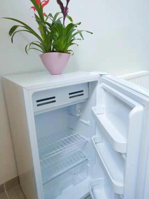 Cozy Rooms With Share The Bathroom And Kitchen Brussel Eksteriør bilde