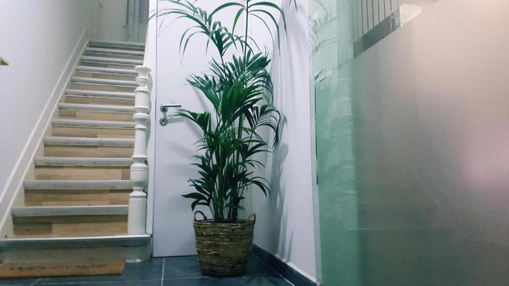 Cozy Rooms With Share The Bathroom And Kitchen Brussel Eksteriør bilde
